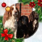 Frank Ridley - @frank.ridley.9 - Instagram