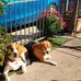 Frank Ridley - Facebook