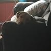 Frankie_theman - @frankie_theman - TikTok