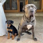 Franklin and Riggins - @frankandriggs - Instagram