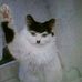 Frank Rigo - Facebook