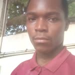 frank Ringo - @frankringo4 - Instagram