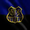 Frank Ringwald - @frank.ringwald - TikTok