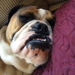 Frank Ritchie - @frank.the.tank69 - Instagram