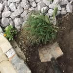 Frank Ritzal - @frankritzal - Instagram