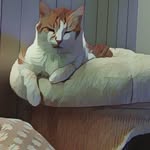 Frank Ritzkat - @frankritzkat - Instagram