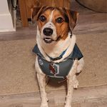 Frank Ritzmann - @frank.ritzmann.7 - Instagram