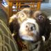 Frank Rivard - Facebook