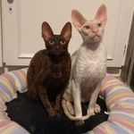 Frank & Robbie - @frankrobbierex - Instagram