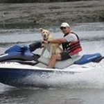 Frank Robb - @frankrobb61 - Instagram