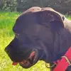Frank Robbins - @frank.robbins63 - TikTok