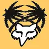 Frank Roca - @frank.roca5 - TikTok