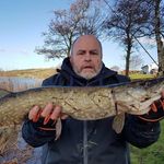 Frank Roche - @frank.roche.5 - Instagram