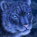 Frank Rodenburger - @frankrodenburger - Instagram