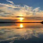 Frank Rogel - @frankrogel - Instagram