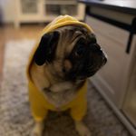 frank - @frank_rogel - Instagram