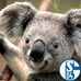Frank Rogowski - Facebook