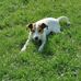 Francis Rollinger - Facebook