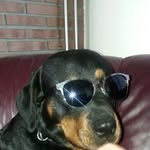 frankrookhuizen - @frankrookhuizen7697 - Instagram