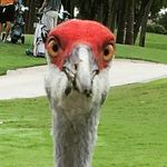 frank brooks - @frank.brooks1122 - Instagram
