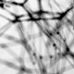 Frank Rosch - Facebook