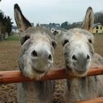 Frank Rosch - @frankrosch69 - Instagram