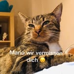 Frank Rosemeier - @frankrosemeier - Instagram