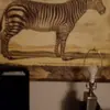 Frank Rosenquest - @frankrosenquest1 - TikTok