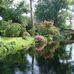Frank Rosso - Facebook