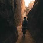 Frankie - @frankrott - Instagram
