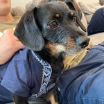 Frank Rouse - @frank_fucks - Instagram