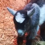 Frank Rouse - @frank.rouse - Instagram