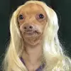 Frankie Rovella - @frankie.rovella - TikTok
