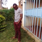 Frank Rowland - @frankrowland67 - Instagram