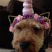 Frank Royer - Facebook