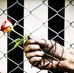 Frank P Rua - Facebook