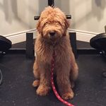 Frank (Frankie) Rubinger - @frankie.ruby - Instagram