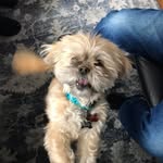 Frank Ruchala - @frankruchala - Instagram