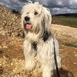 Frank Rudat - @frank_rudat - Instagram
