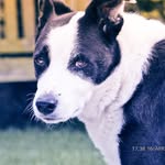 frank rudd - @fruddie1 - Instagram