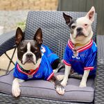 Frank & Rue - @franknrue - Instagram