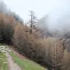 frankruff2 - @frankruff2 - TikTok