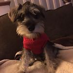 Frank Ruffin - @frankruffin - Instagram