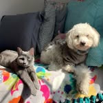 frank, ruth, storm, & ror - @frankieruthiestormierory - Instagram