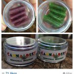 Frank Rutherford - @cannadees - Instagram
