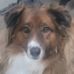 Frank Sabel - Facebook