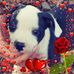 Frank Saints - Facebook