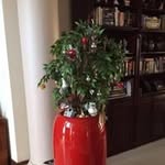 Frank Salt - @franksalt49 - Instagram