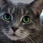 Frank Samuels - @frantasticfam - Instagram
