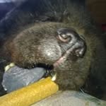 Frank Sanden - @franksanden - Instagram
